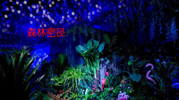 苏菲亚的婚纱